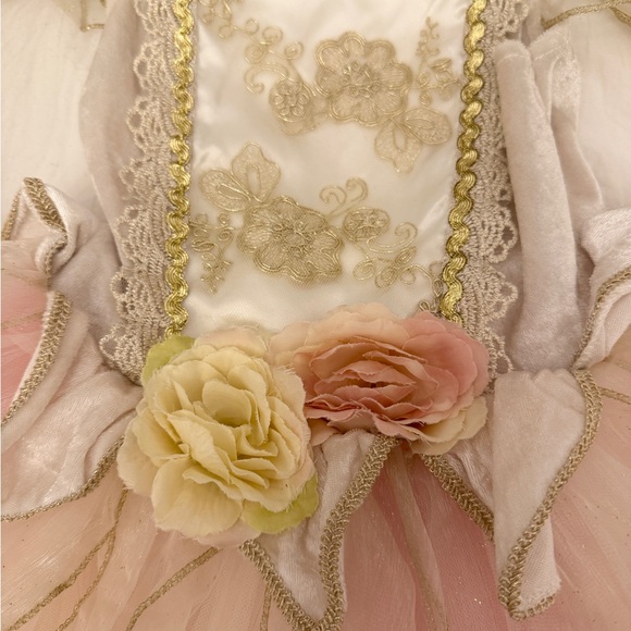 Fairy Costume - Picture 3 of 6